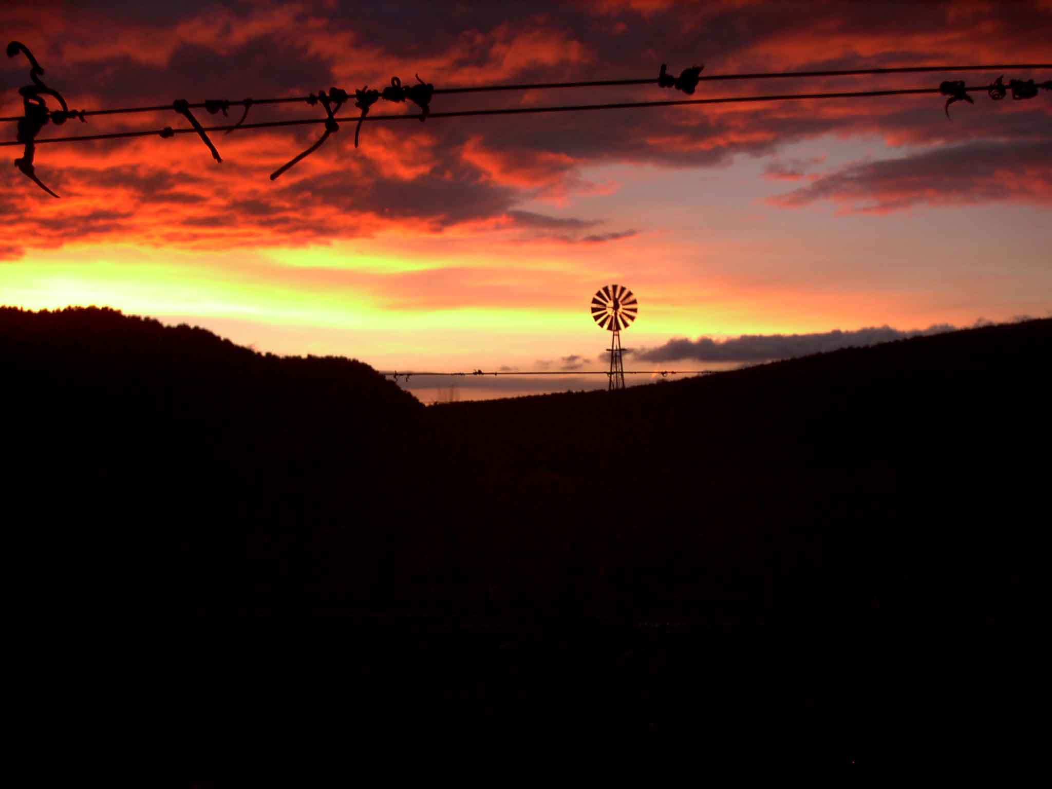 Sunset at the Winery.